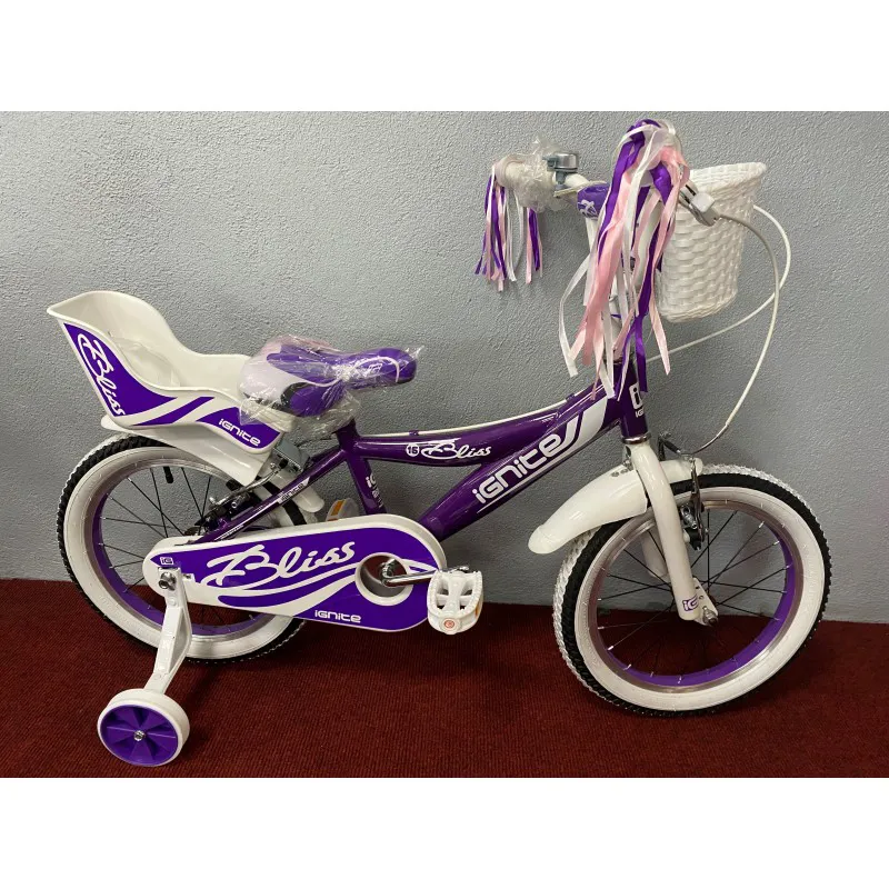 Purple bike hot sale for kids